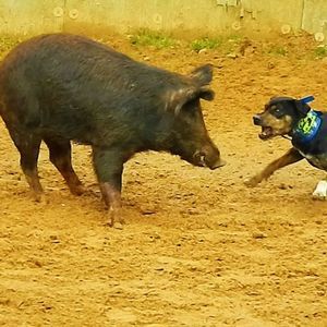 Meet your Posher, Seth